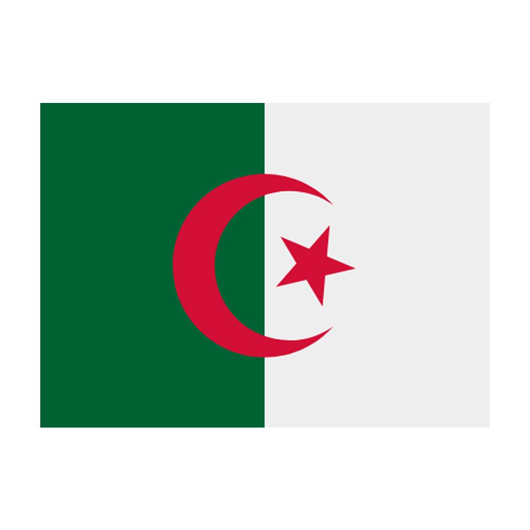 Men's Competition Barbell Set